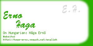 erno haga business card