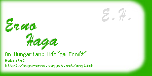 erno haga business card